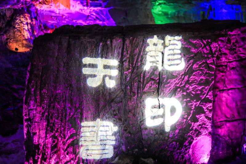 动物狂欢夜