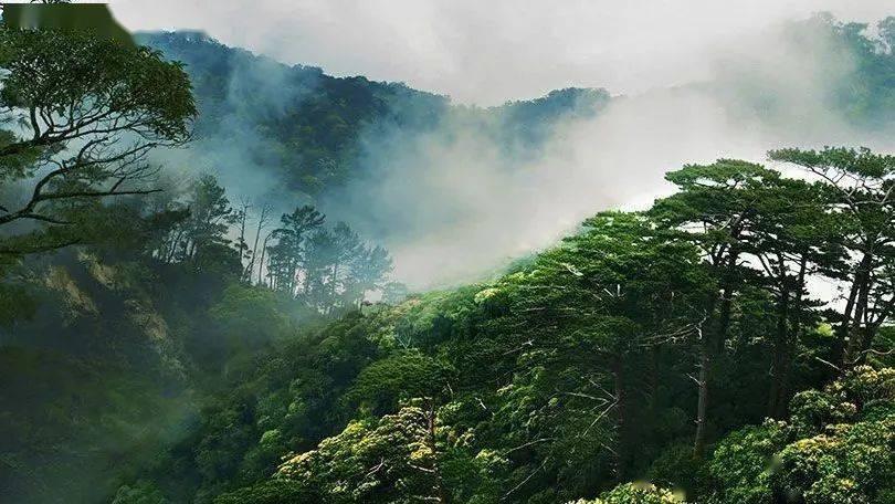 近两年景区大火的玻璃栈道陆续关停，为何要这么做？游戏画面